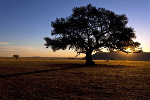 Afrika - Unterwegs im wilden Süden (Kopie) – Bild 11