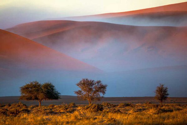 Afrika - Unterwegs im wilden Süden (Kopie) – Bild 5