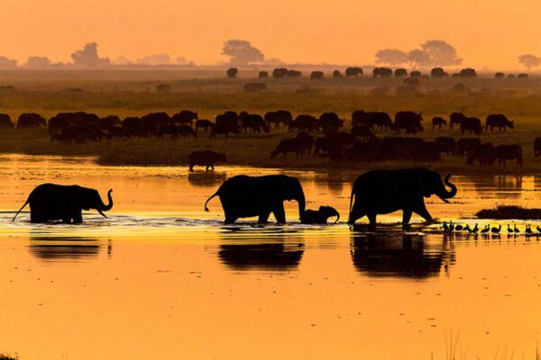Afrika - Unterwegs im wilden Süden (Kopie) – Bild 4