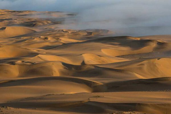 Afrika - Unterwegs im wilden Süden (Kopie) – Bild 3