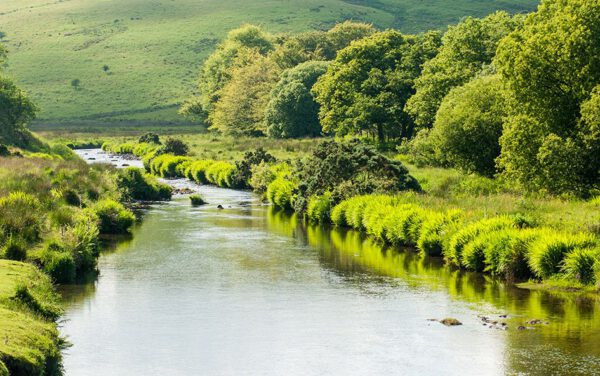 Magisches SÜDENGLAND - von Dover nach Cornwall – Bild 4