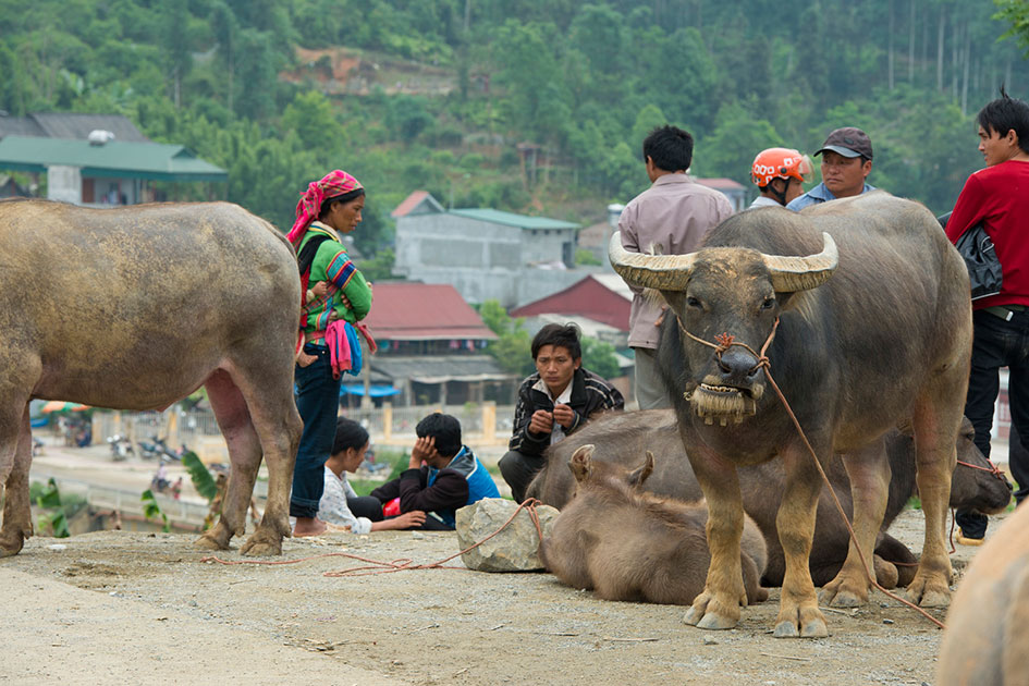 Vietnam - Abenteuer im Land der Drachen – Bild 9