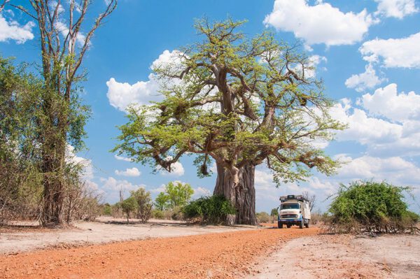 Abenteuer Transafrika - Im Oldtimer durch den geheimnisvollen Kontinent – Bild 8