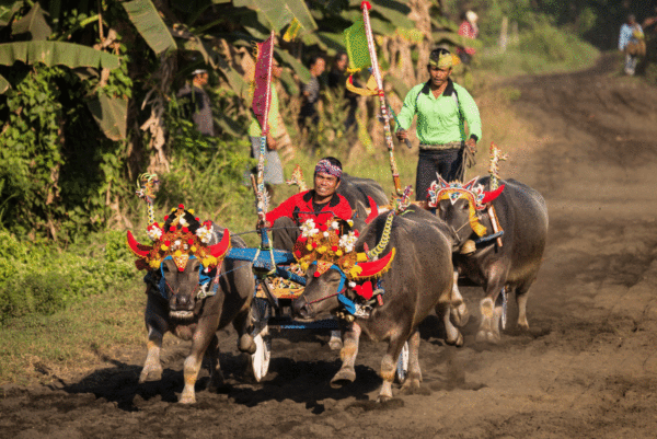 Der weite Weg nach Bali - Singapur, Sumatra, Java – Bild 6