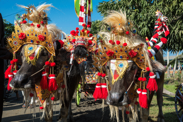 Der weite Weg nach Bali - Singapur, Sumatra, Java – Bild 11