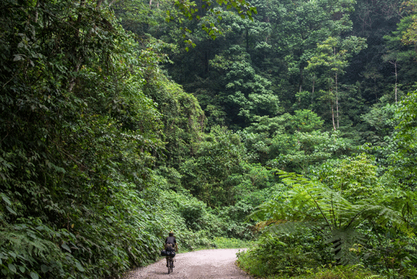 Der weite Weg nach Bali - Singapur, Sumatra, Java – Bild 5