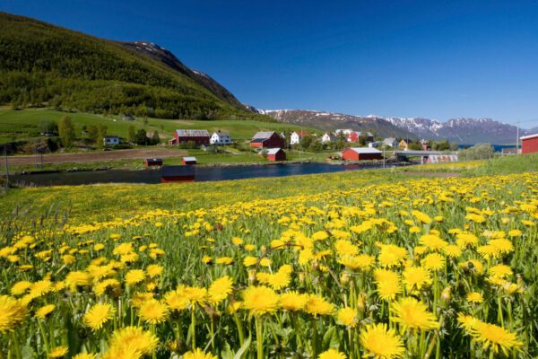 Norwegen - Durch die Fjorde in die Arktis – Bild 3