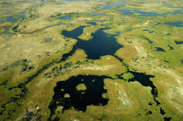 Namibia & Botswana - Wildnis Abenteuer – Bild 7