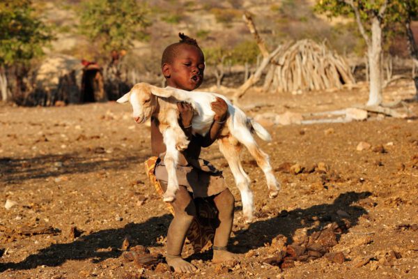 Namibia & Botswana - Wildnis Abenteuer – Bild 8