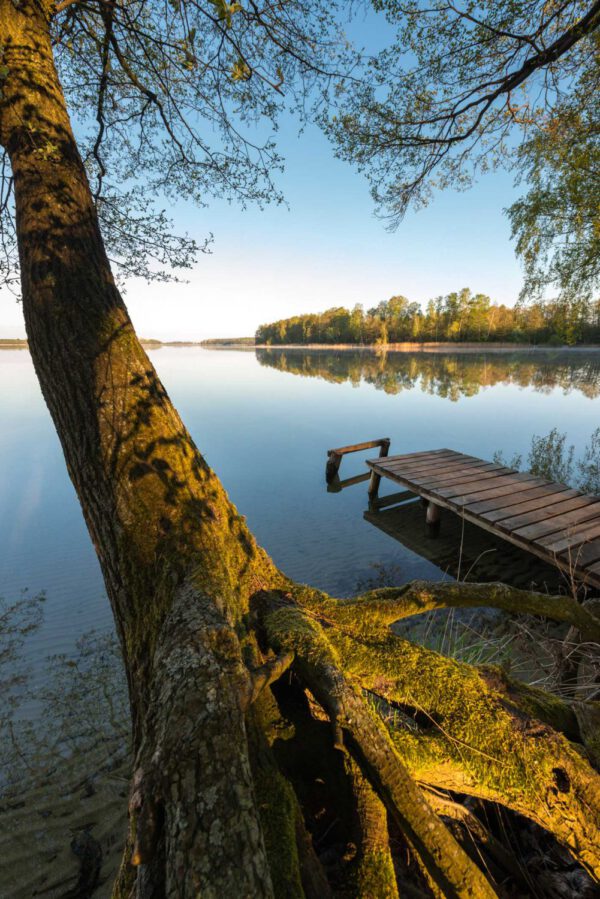 Masuren & Thorn – Danzig - Königsberg – Bild 4