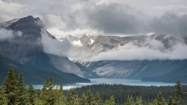 Rocky Mountains - Durchs wilde Herz Nordamerikas – Bild 3