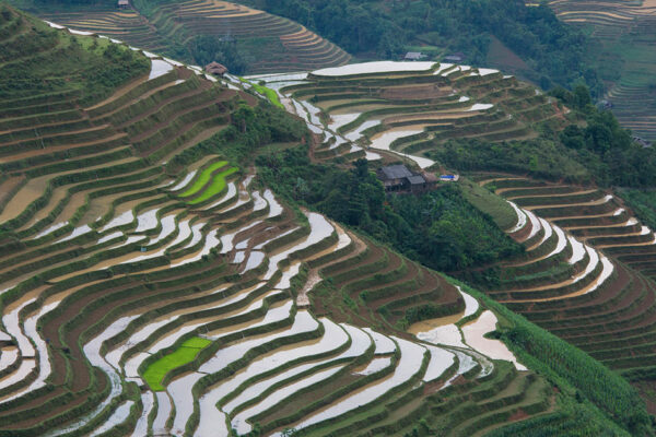 Vietnam - Abenteuer im Land der Drachen – Bild 12