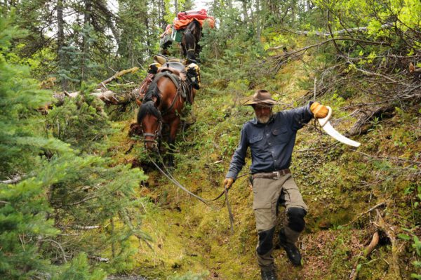 Feuerland bis Alaska - Der Abenteuerreiter – Bild 13