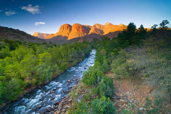 Südafrika - von Kapstadt zum Krügerpark – Bild 7