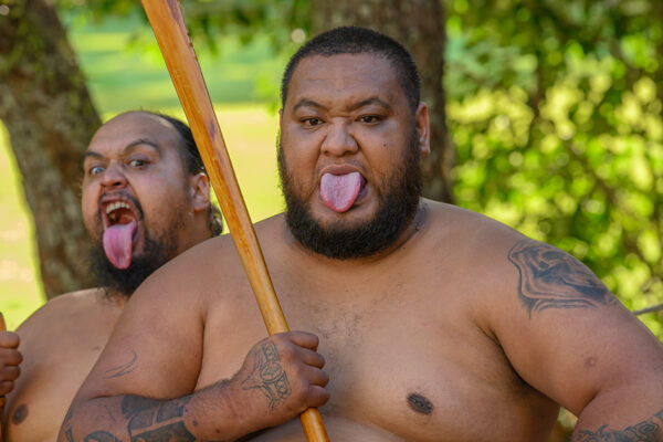 Neuseeland - Ein halbes Jahr durchs Land der Kiwis – Bild 3