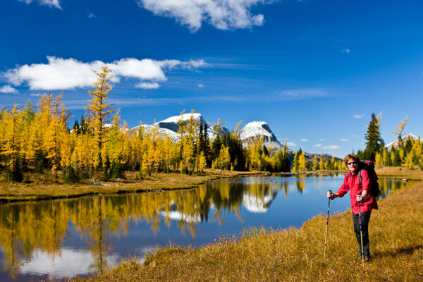 Kanada & Alaska - Zauber der Wildnis – Bild 4