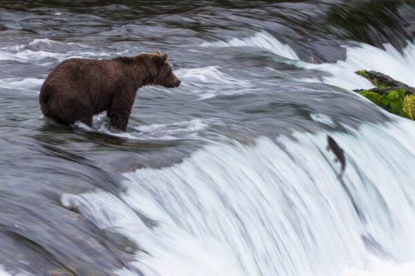 Kanada & Alaska - Zauber der Wildnis – Bild 11