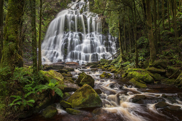 Unterwegs in Tasmanien - Den Teufeln auf der Spur – Bild 13