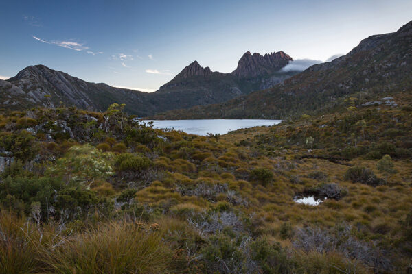 Unterwegs in Tasmanien - Den Teufeln auf der Spur