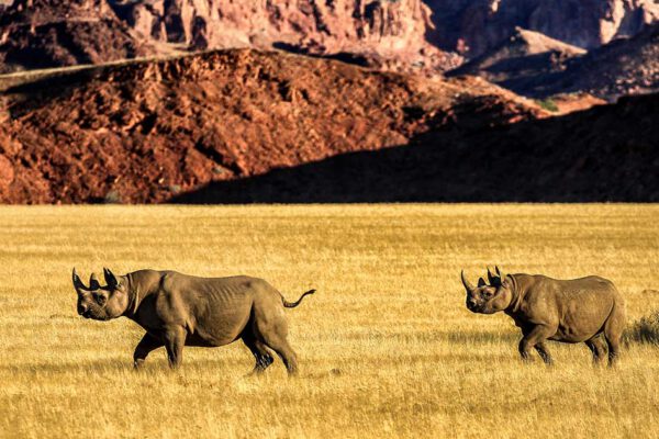 Namibia - 10 Leben – Bild 2