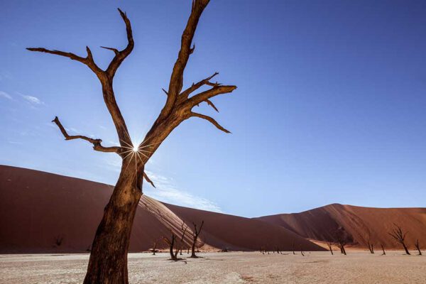 Namibia - 10 Leben – Bild 5