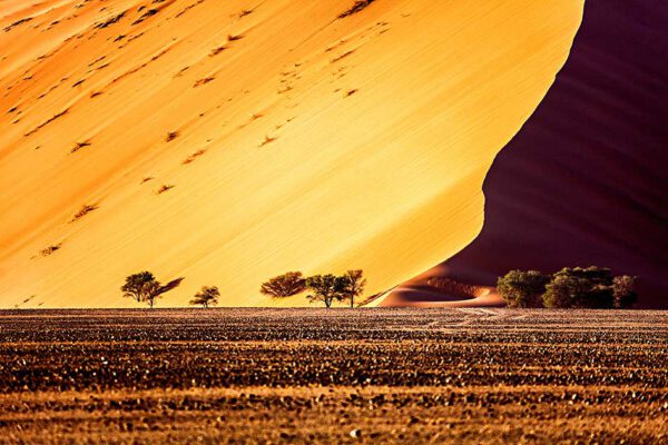 Namibia - 10 Leben – Bild 6