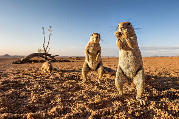 Namibia - 10 Leben – Bild 9