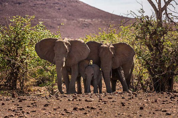 Namibia - 10 Leben – Bild 10