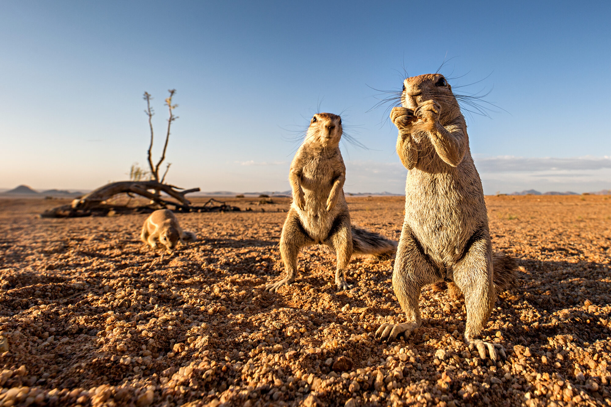 Trailer zur Namibia-Reportage! Jetzt einen Vorgeschmack genießen…