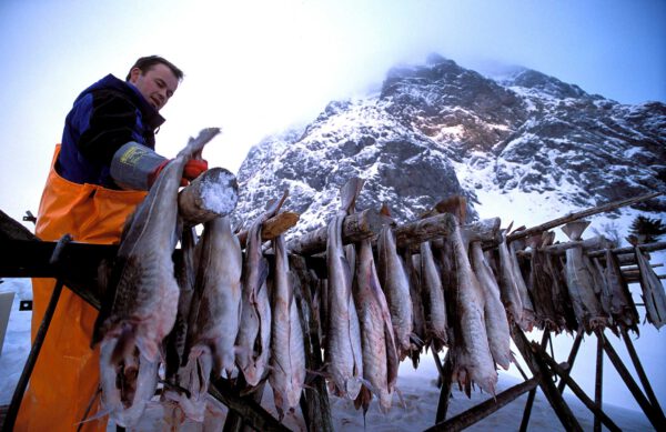 Norwegen - Durch die Fjorde in die Arktis – Bild 7