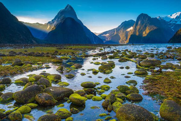Neuseeland - Ein halbes Jahr durch das Land der Kiwi