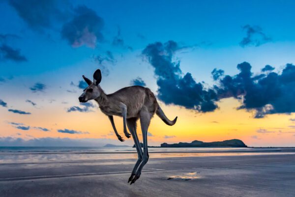 Australien - Ein Jahr Freiheit