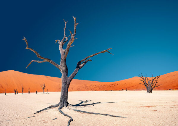 Abenteuer Transafrika - Im Oldtimer durch den geheimnisvollen Kontinent