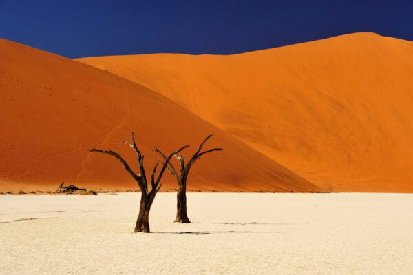 Namibia & Botswana - Wildnis Afrika!