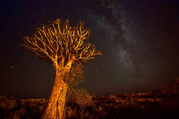 Namibia & Botswana - Wildnis Afrika! – Bild 11