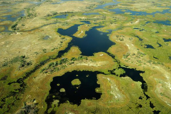 Namibia & Botswana - Wildnis Afrika! – Bild 9