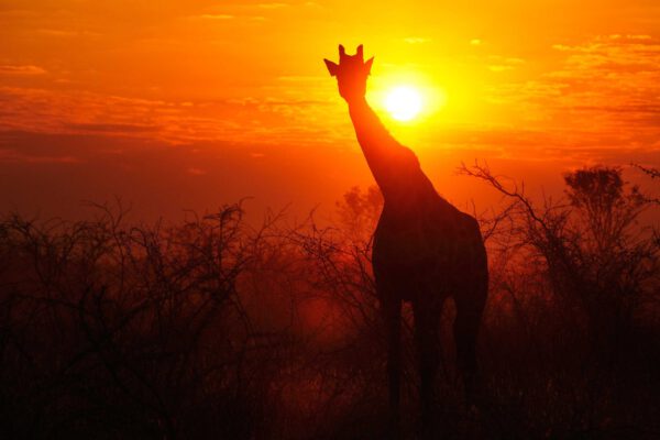 Namibia & Botswana - Wildnis Afrika! – Bild 13
