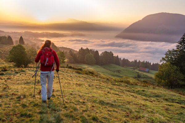 Wandertrilogie Allgäu -  Geschichten für Naturgenießer