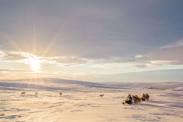 Nordlicht - Zu Hause in Lappland – Bild 4