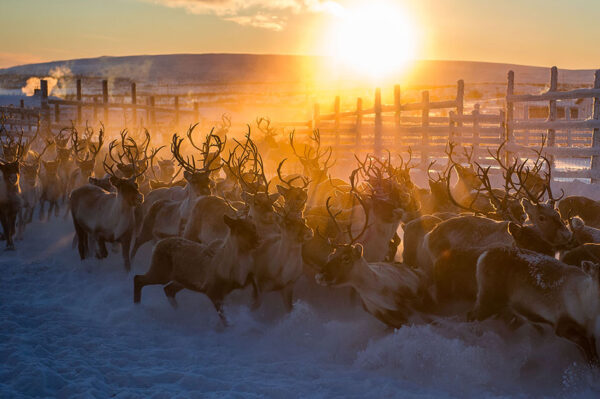 Nordlicht - Zu Hause in Lappland – Bild 5