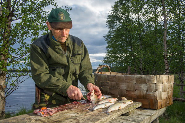 Nordlicht - Zu Hause in Lappland – Bild 11