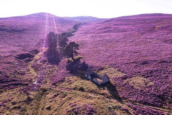 Schottland - Mystik der Highlands und Inseln – Bild 14
