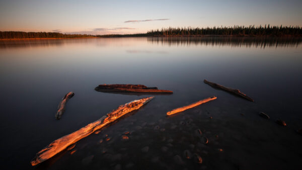 Kanada und Alaska - 3000km Wildnis und Freiheit am Yukon – Bild 3