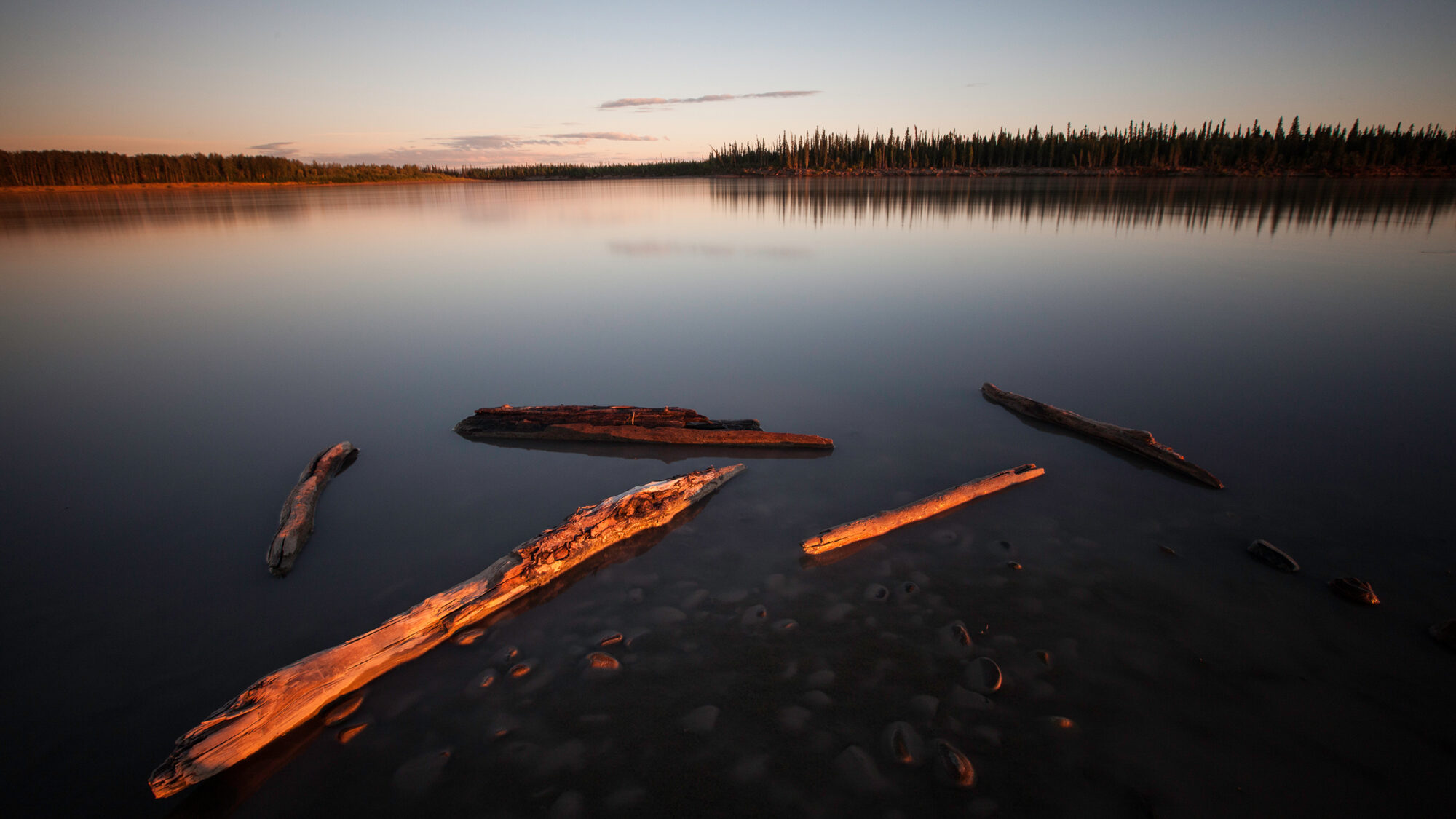 Kanada und Alaska - 3000km Wildnis und Freiheit am Yukon – Bild 3