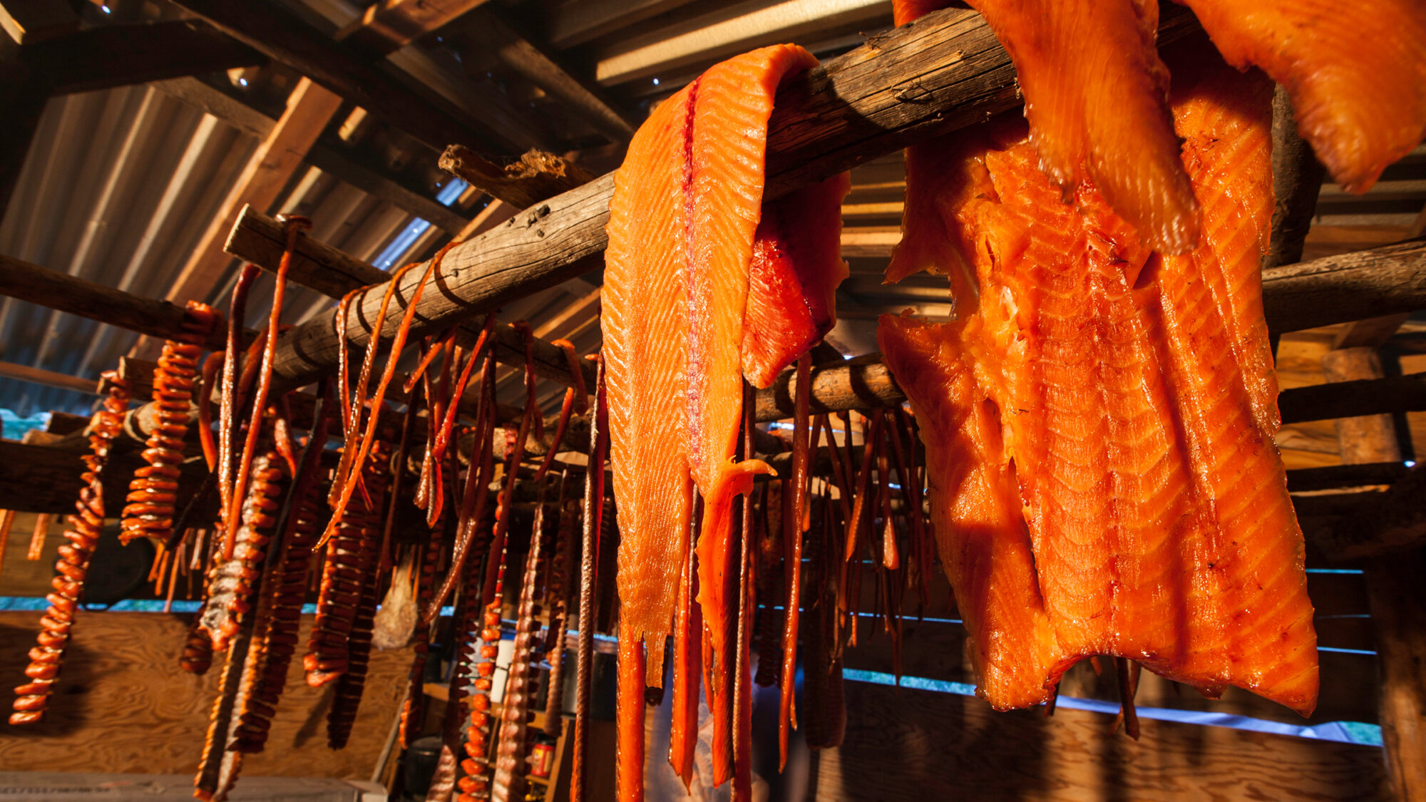 Kanada und Alaska - 3000km Wildnis und Freiheit am Yukon – Bild 4