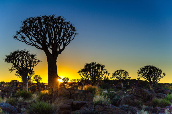 Namibia & Botswana - Abenteuer Afrika – Bild 6