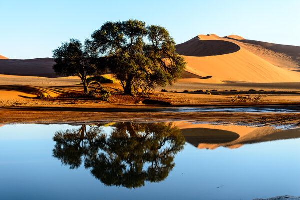 Namibia & Botswana - Abenteuer Afrika – Bild 3