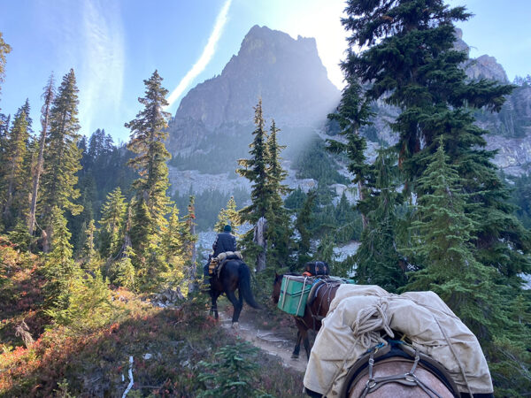 Die Abenteuerreiter - LONG WAY HOME - Im Sattel durch Amerika – Bild 12