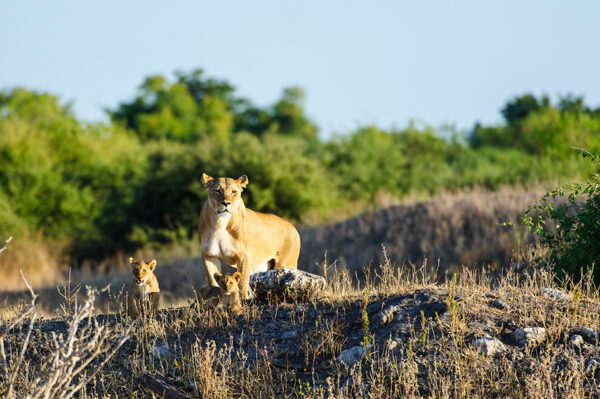 Namibia & Botswana - Abenteuer Afrika – Bild 7
