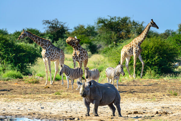 Namibia & Botswana - Abenteuer Afrika – Bild 13